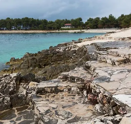 Bridic * טרוגיר