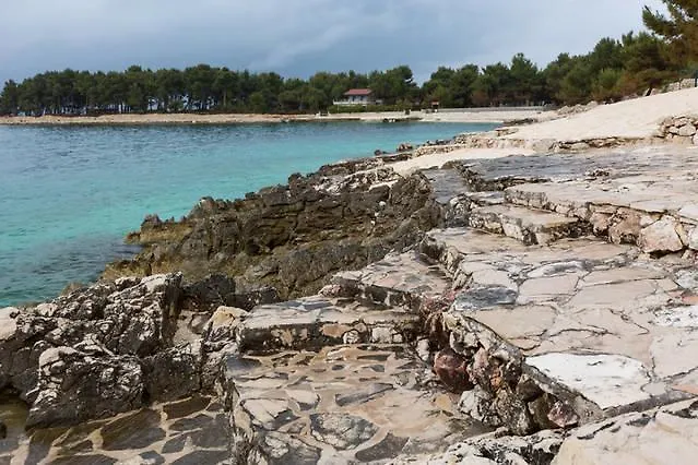 Bridic * Τρογκίρ